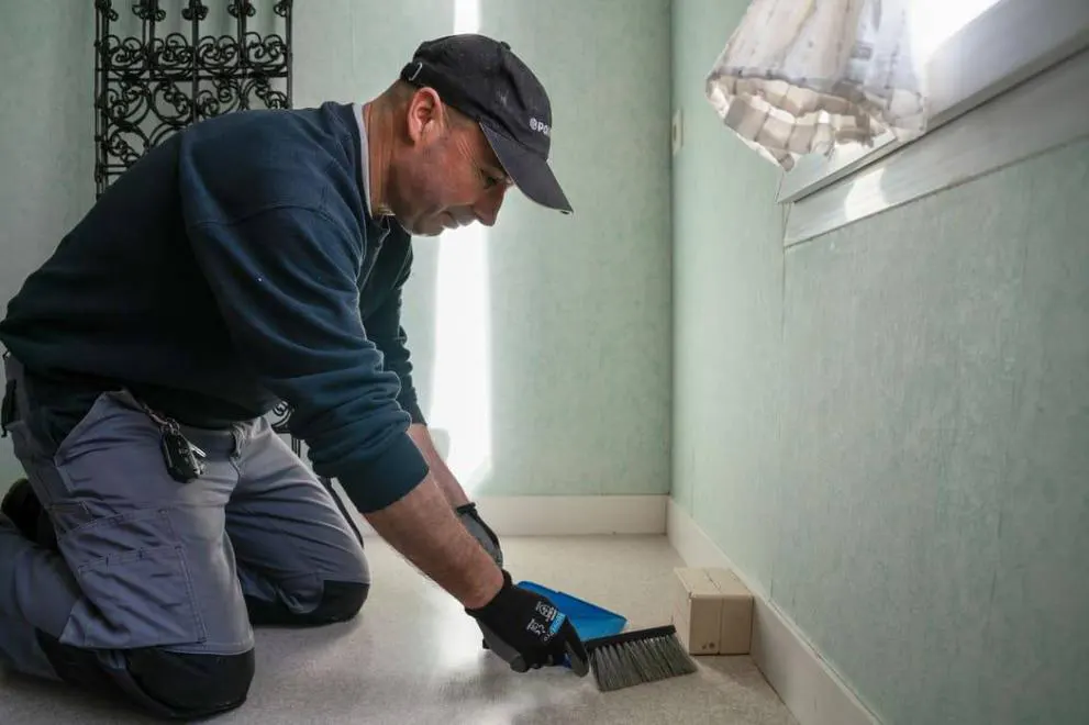 traitement termites sables d'olonne