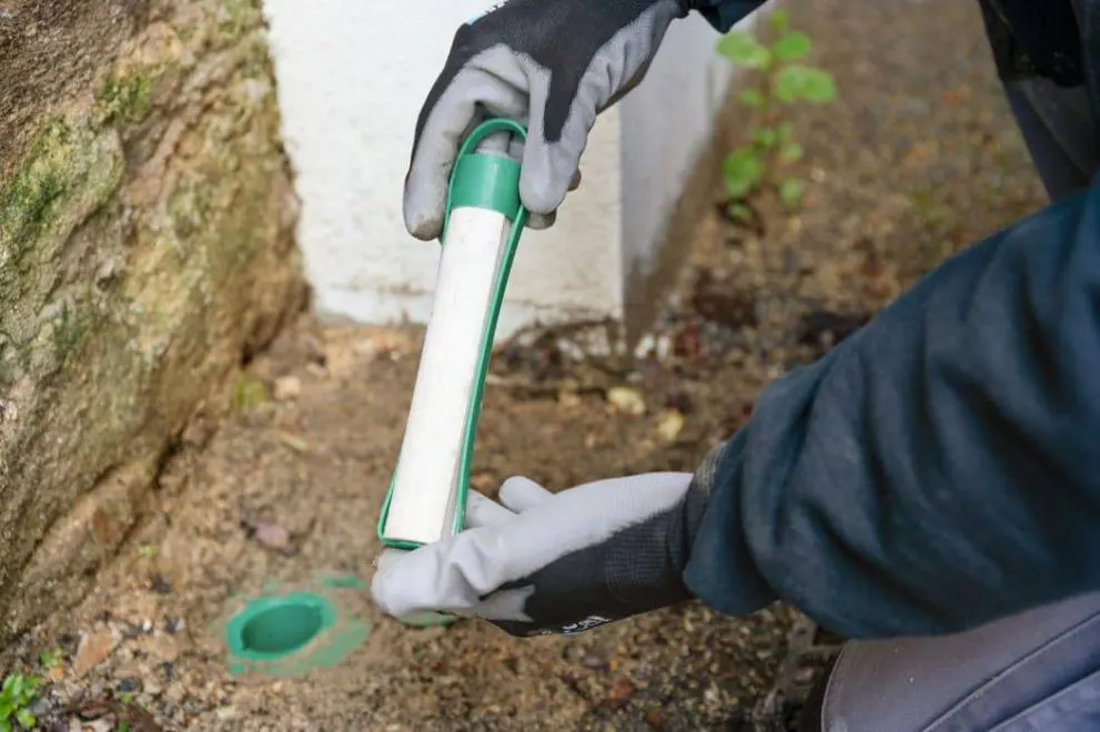 traitement termites vendée piège
