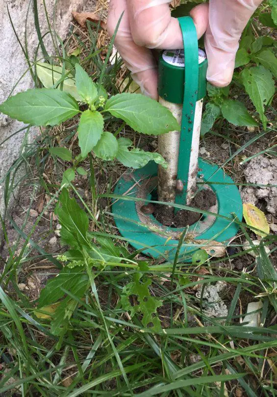 traitement par piege sentritech